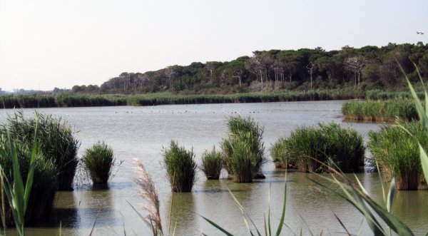 Parco del Delta del Po